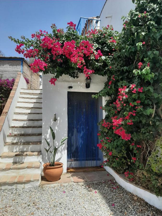 Attico Los Montes With Private Pool บีญวยลา ภายนอก รูปภาพ