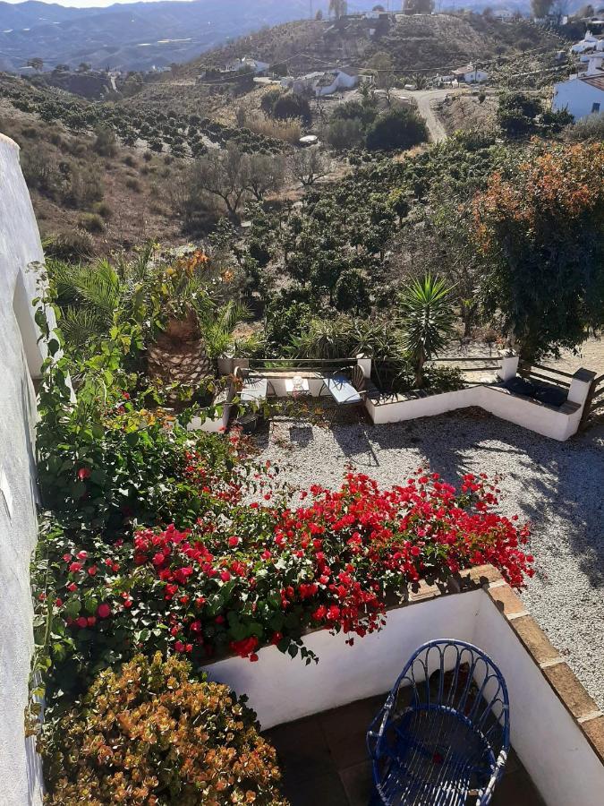 Attico Los Montes With Private Pool บีญวยลา ภายนอก รูปภาพ